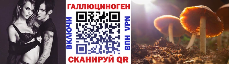 Галлюциногенные грибы GOLDEN TEACHER  Краснозаводск 